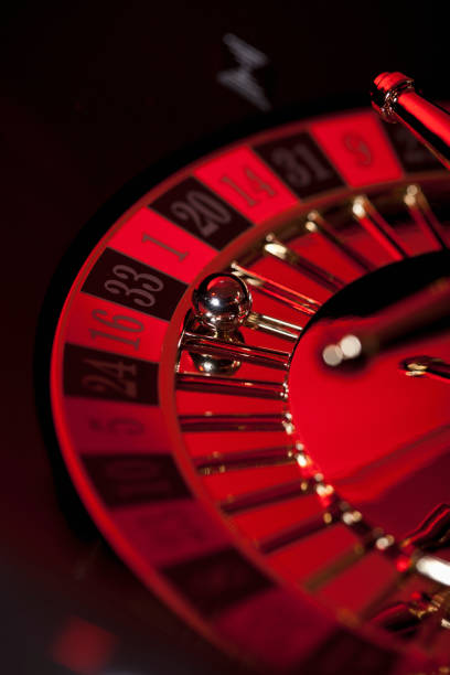 indovet platform interface showing football markets, live dealer tables, and slot games